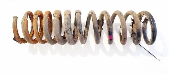 Rear coil spring