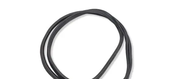 BMW 2 F22 F23 Trunk rubber seal (body) 7304538