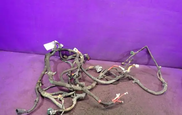 Renault Kangoo II Other wiring loom 240110553R