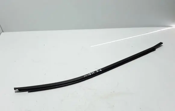 Dacia Sandero III Rear door trim (molding) 828202029R