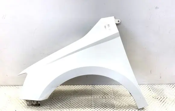 Skoda Fabia Mk3 (NJ) Fender 