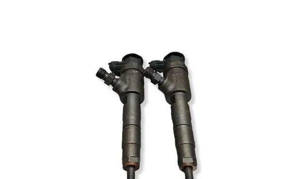Citroen C3 Fuel injector S27624883 0445110339