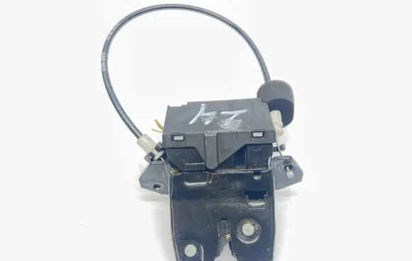Loading door lock