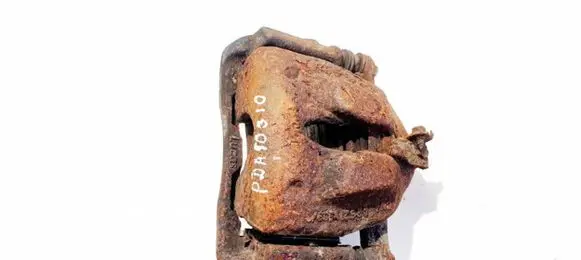 Peugeot 807 Front brake caliper