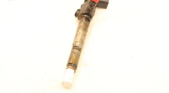 Renault Megane II Fuel injector