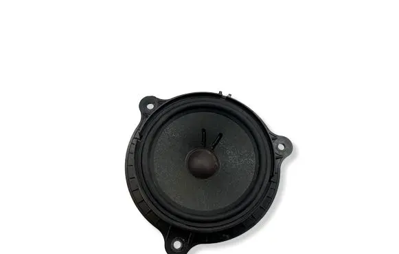 Renault Espace V (RFC) Rear door speaker 