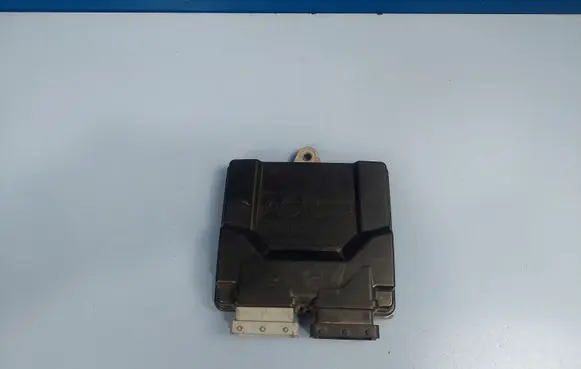 Citroen Xsara Other control units/modules E867R014229 E8110R004230