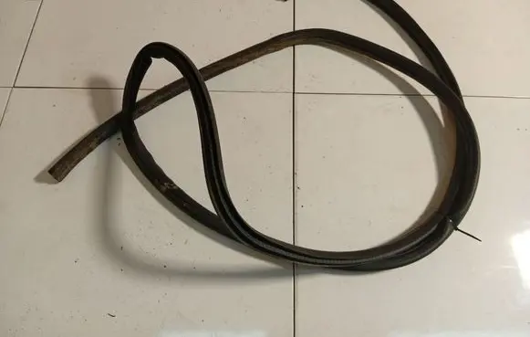 Renault Scenic I Rubber seal front coupe door 