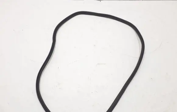 Audi A6 S6 C8 4K Rear door rubber seal (on body) 4K9833721A