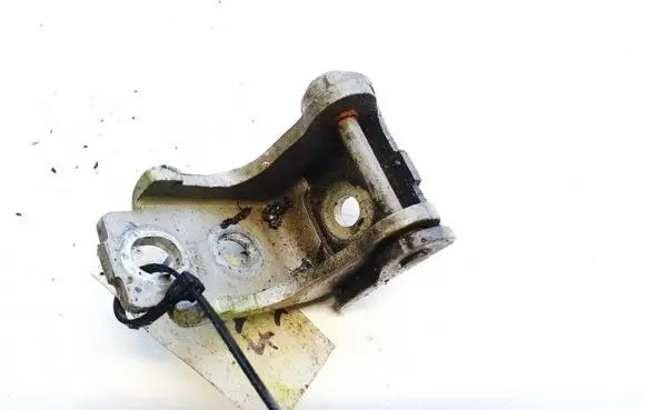Renault Scenic III - Grand scenic III Rear door lower hinge