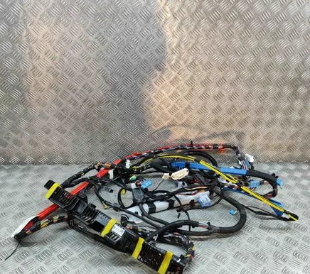 Tesla Model Y Other wiring loom 248904102A