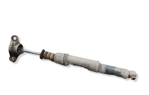 Citroen C4 II Rear shock absorber/damper 33160 814003008504