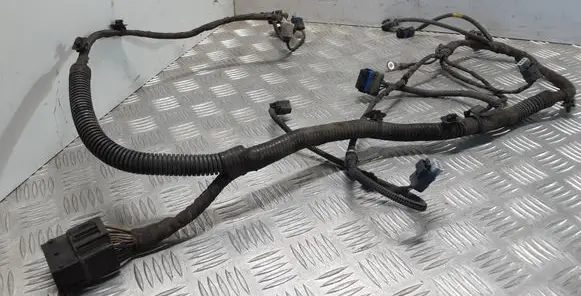 Renault Latitude (L70) Other wiring loom