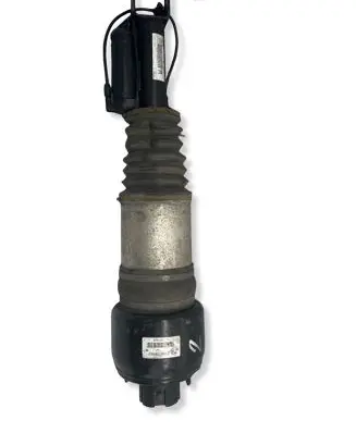 Mercedes-Benz CLS C219 Air suspension front shock absorber C086119