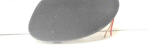 Panel speaker