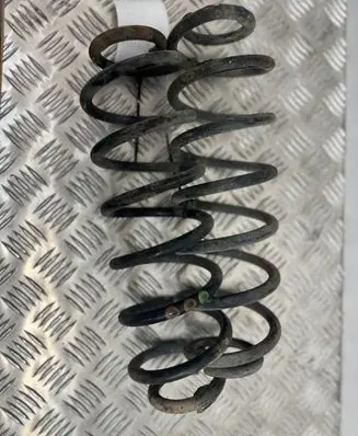 Rear coil spring
