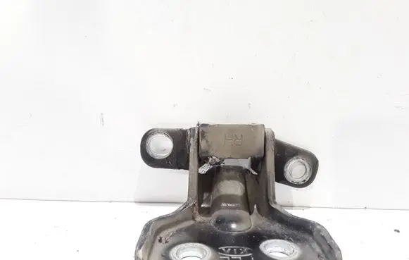 KIA Sorento Front door lower hinge 