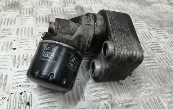 Dacia Duster Engine oil radiator 8200779744 27112012L