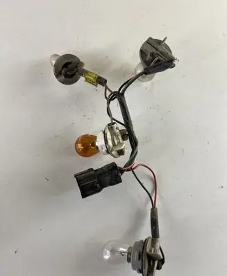 Tail light bulb cover holder