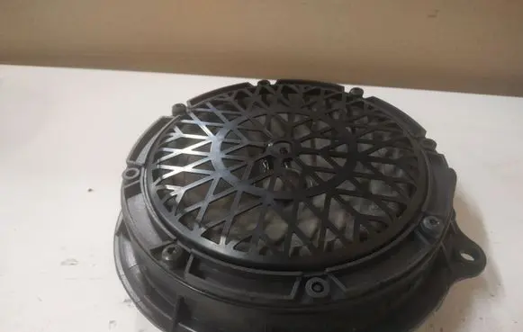 Citroen C6 Front door speaker