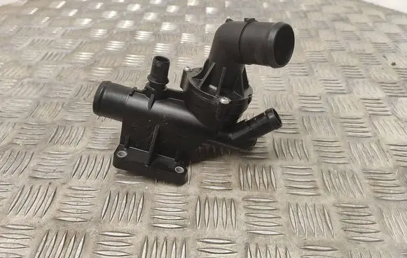 Thermostat/thermostat housing