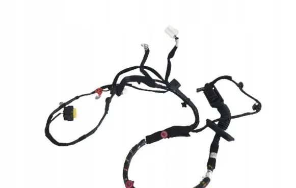 Hyundai Kona I Front door wiring loom 91600J9300