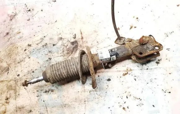 Nissan Juke I F15 Front shock absorber/damper