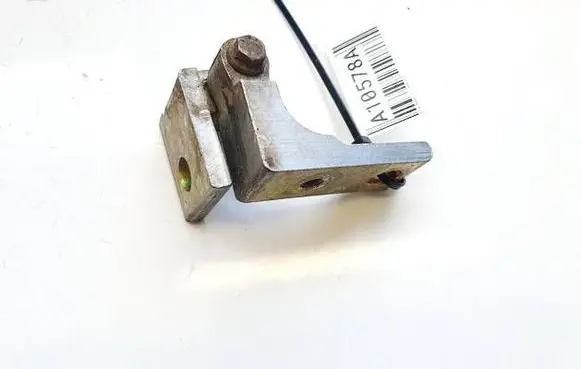 Rear door lower hinge