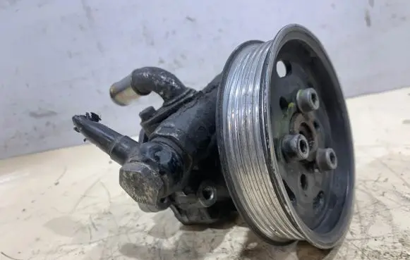Volkswagen Golf IV Power steering pump 038145255B