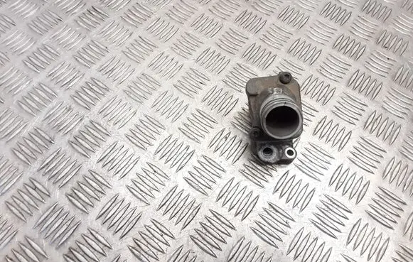 Thermostat/thermostat housing