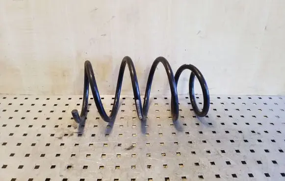 Front coil spring