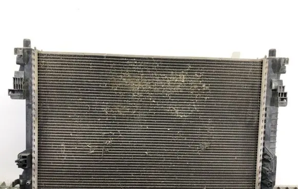 Mercedes-Benz A W169 Coolant radiator A1695000703
