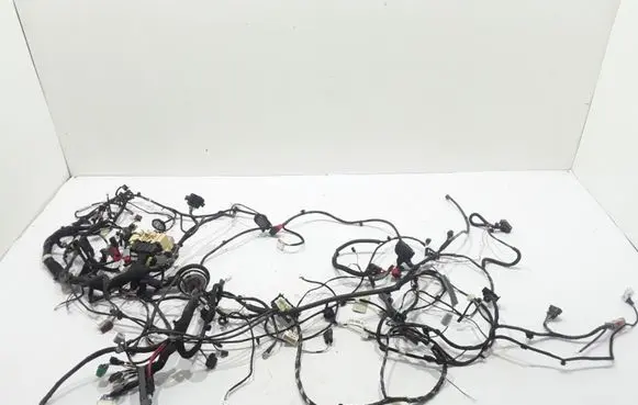 Renault Kangoo II Other wiring loom 283934109R