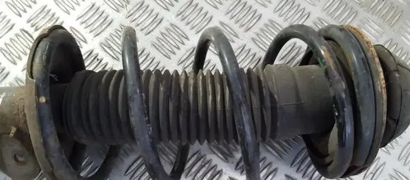 Nissan Pixo Front coil spring