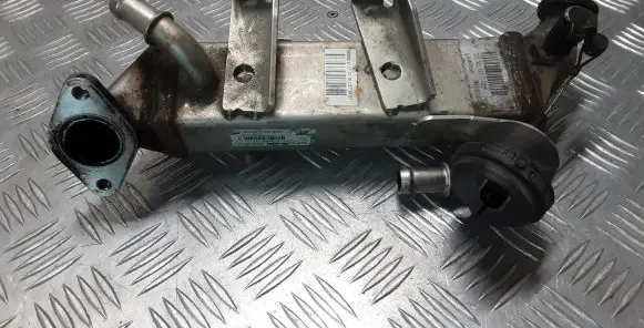 Renault Latitude (L70) EGR valve cooler 8200719993