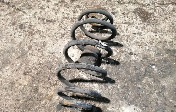 Rear coil spring