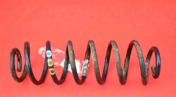 Volkswagen Jetta V Rear coil spring
