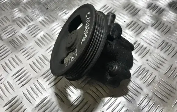 KIA Carnival Power steering pump