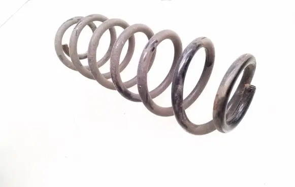 Rear coil spring