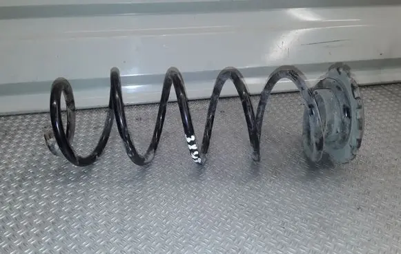 Rear coil spring