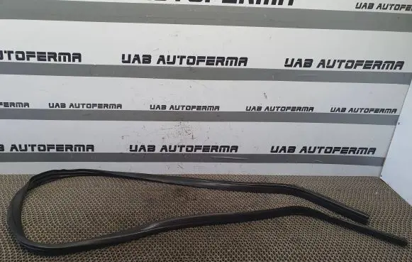 Ford Focus Front door rubber seal