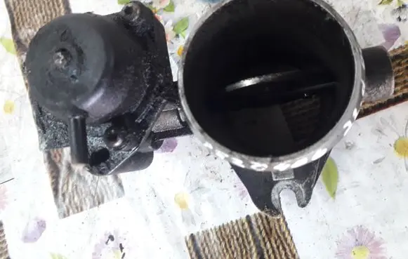 Peugeot 406 Throttle valve