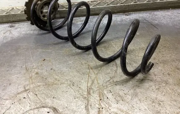 Rear coil spring
