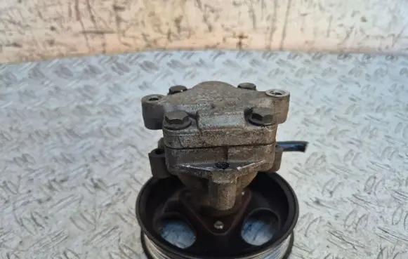 Porsche Cayenne (9PA) Power steering pump 7L5422154C