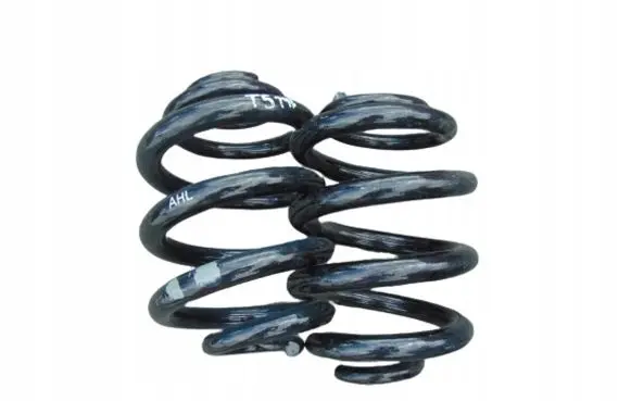 Volkswagen Transporter - Caravelle T5 Rear coil spring