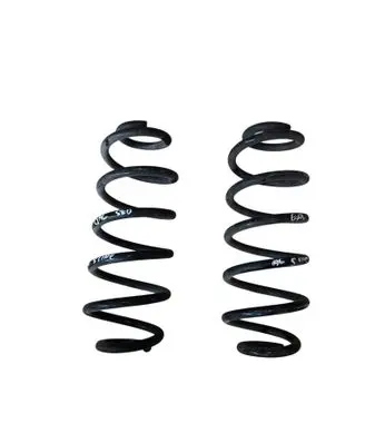 Rear coil spring