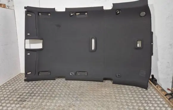 Audi Q7 4L Headlining 