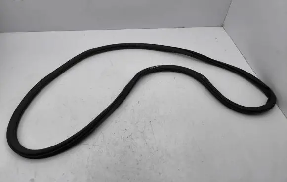 Rear door rubber seal (on body)