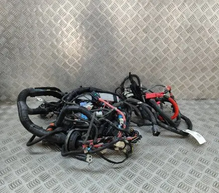 Tesla Model Y Other wiring loom 248905808B