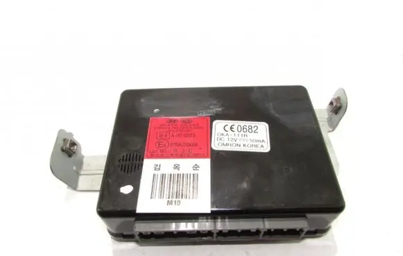 Hyundai Tucson JM Other control units/modules 954002E243